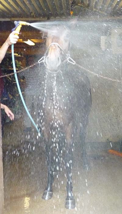 dusch2.jpg