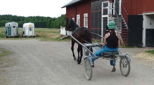 traning1.jpg