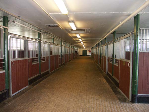 stallgang.jpg
